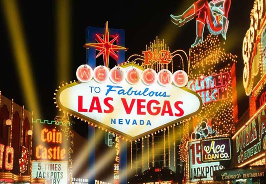 Buy Las Vegas Theme Night City View Backdrop for Party Photography