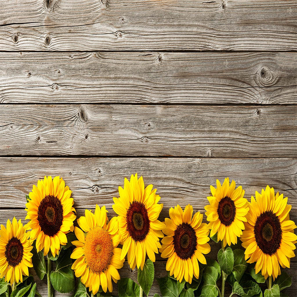 Buy discount Sunflower Brown Wood Floor wall Texture Backdrop ...