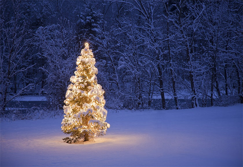 Buy Night Light Christmas Tree Photography Backdrop Winter Background ...