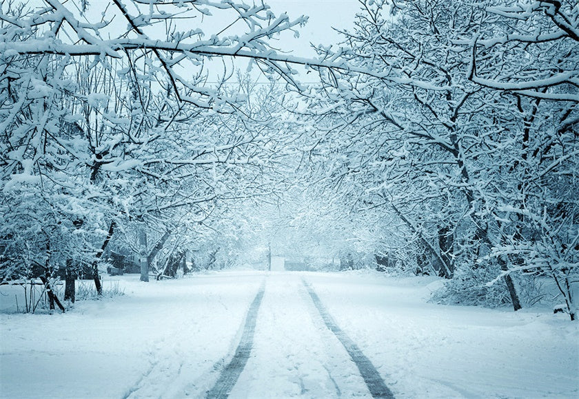 Buy White Snow Road Photography Backdrop Winter Background Online ...