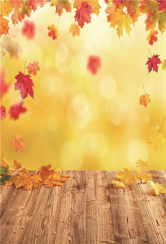 fall backdrops for photography