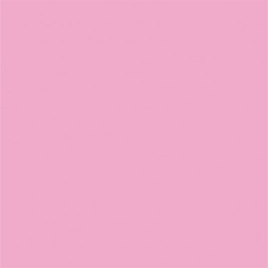 Light Pink Solid Photo Studio Backdrops