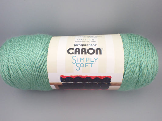 Caron Simply Soft Party Worsted weight Royal Sparkle – Sweetwater Yarns