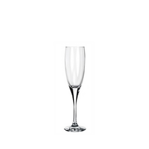 champagne glasses set of 12
