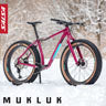 Image of a Salsa Cycles Mukluk Fat Bike in snow.