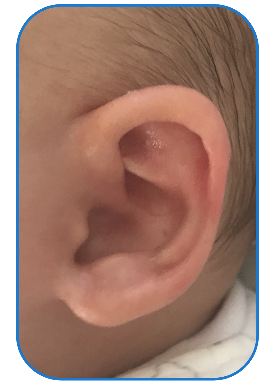 ear buddies parent review 2018
