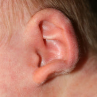 side view of a stick out lobe in a baby