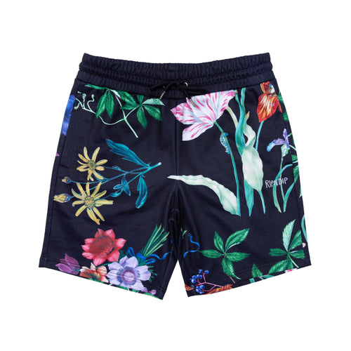 Sweat Shorts & Pants - RIPNDIP