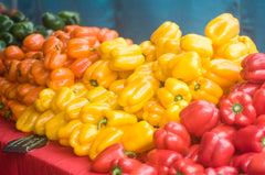 Saturday Morning Market St. Pete, Florida