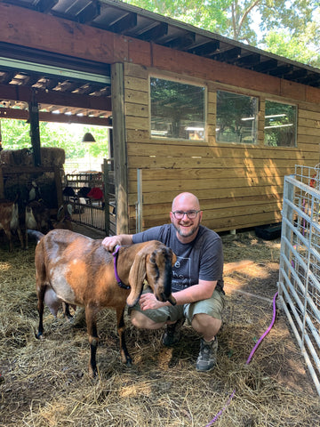 Laurel Hill Farm : Goats