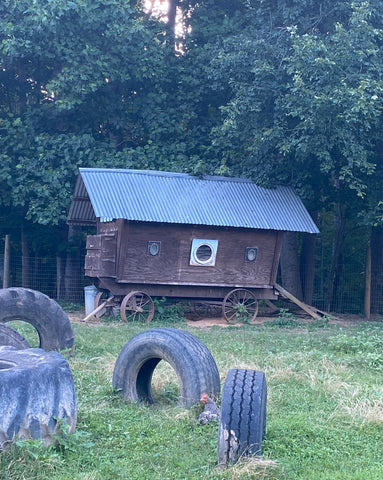 Laurel Hill Farm : Chicken Coop