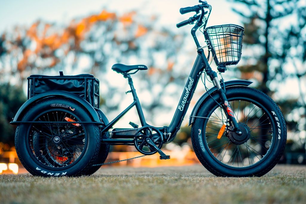 best e bikes for seniors