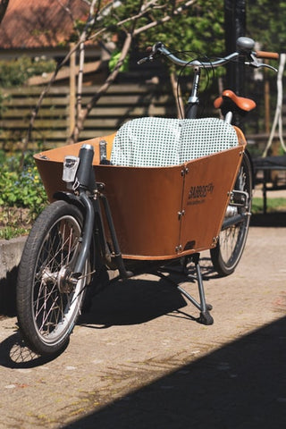 brown cargo bakfeit bike