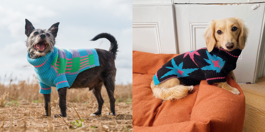 Treat Your Pooch with These Gifts for Dogs