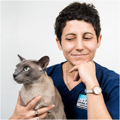 vetinerary surgeon dr odile sicouri