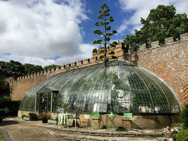 Italianate Glasshouse