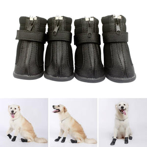 dog shoes xs