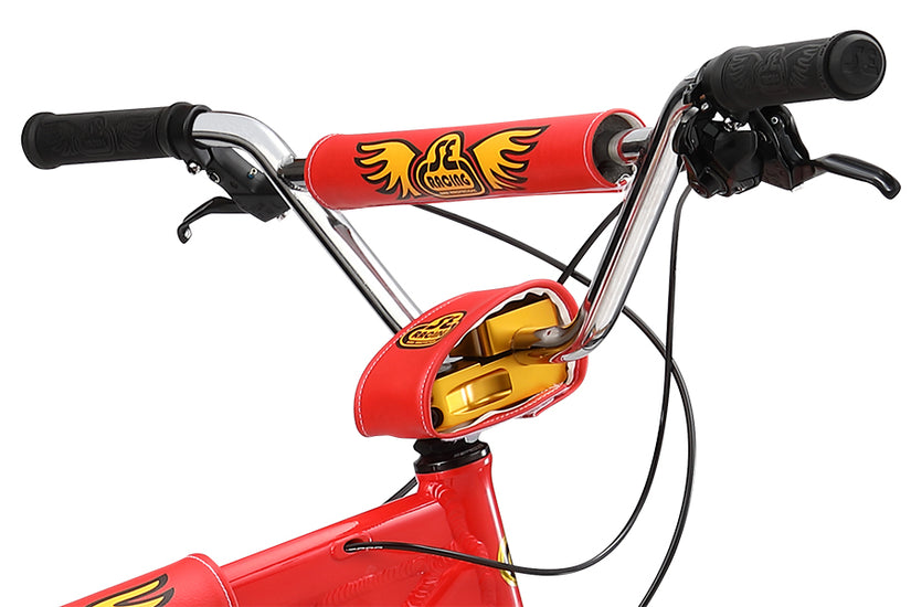 fast ripper 29 bmx bike