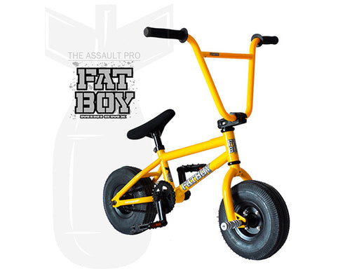 fatboy mini bmx bike