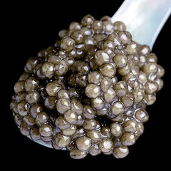 Caviar Serving 