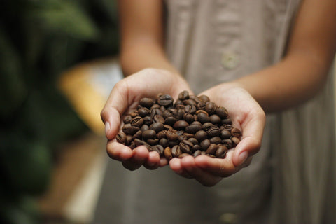 Cold Brew, Sumatra Dark – Browny Coffee Roasters