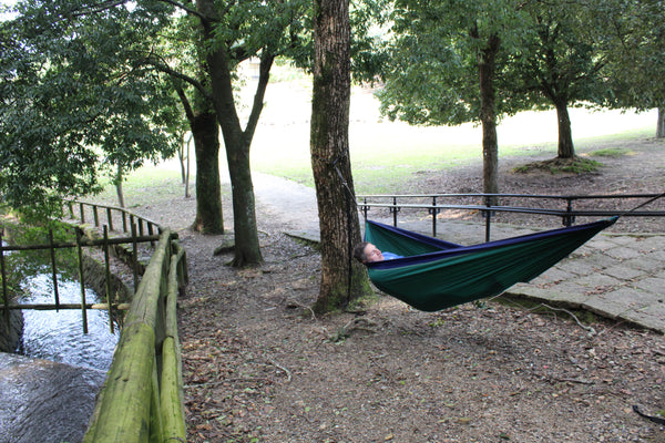 hamac dans un parc