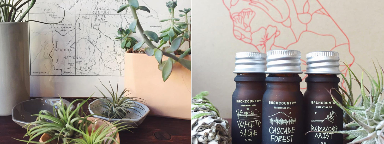 products on a shelf- letterpress map, plants and a vase