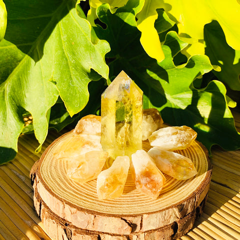 Citrine Wealth & Abundance Generation Set