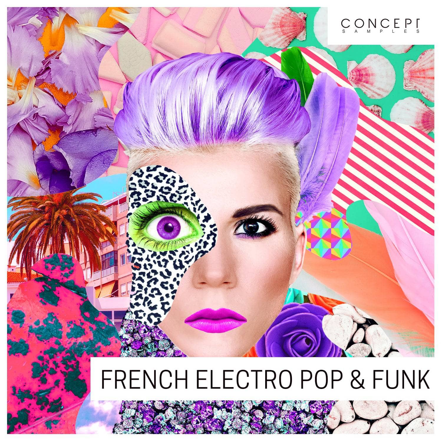 French Electro Pop & Funk - Modern Producers