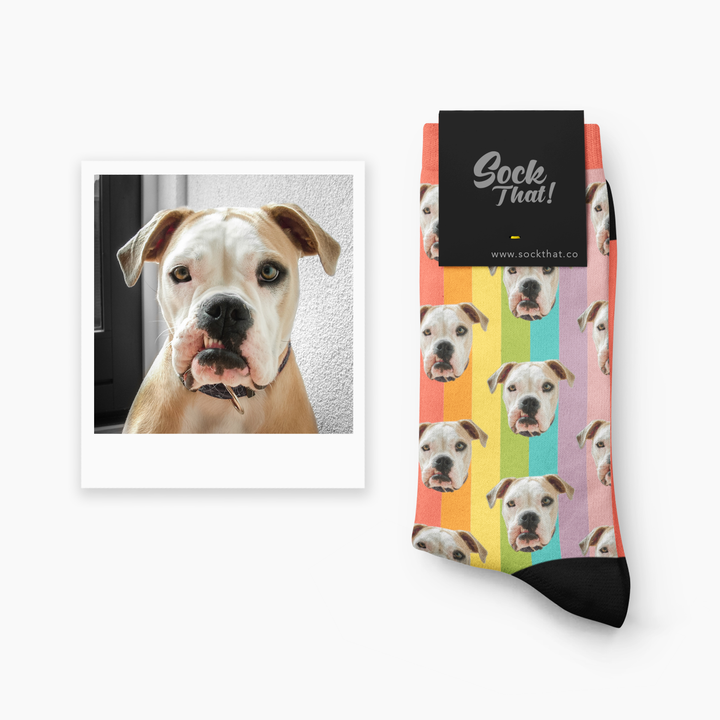 Custom Pet Face Socks – Sock That!