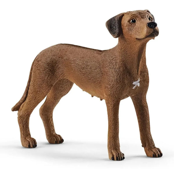 Schleich 13895 Rhodesian Ridgeback Dog Figure