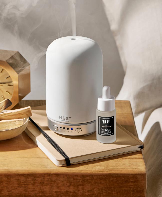 Kawaii Essential Oil Diffuser/Air Humidifier/Mist Sprayer –  Quintessential-Energy-Focus