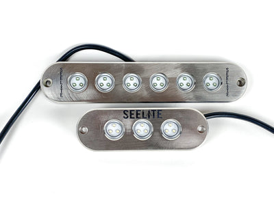 seelite bowfishing lights