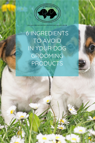 INGREDIENTS TO AVOID IN YOUR DOG GROOMING PRODUCTS