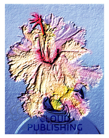 Aspen Zygocactus greeting card by Australian artist Tony Brindley and published by Cloud Publishing