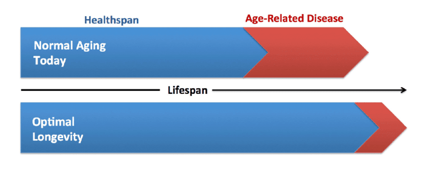 Human lifespan infographic