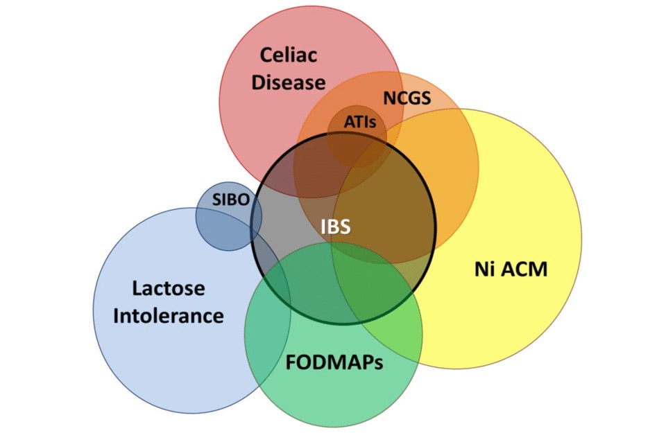 clinical overlap between IBS and IBS like disorders