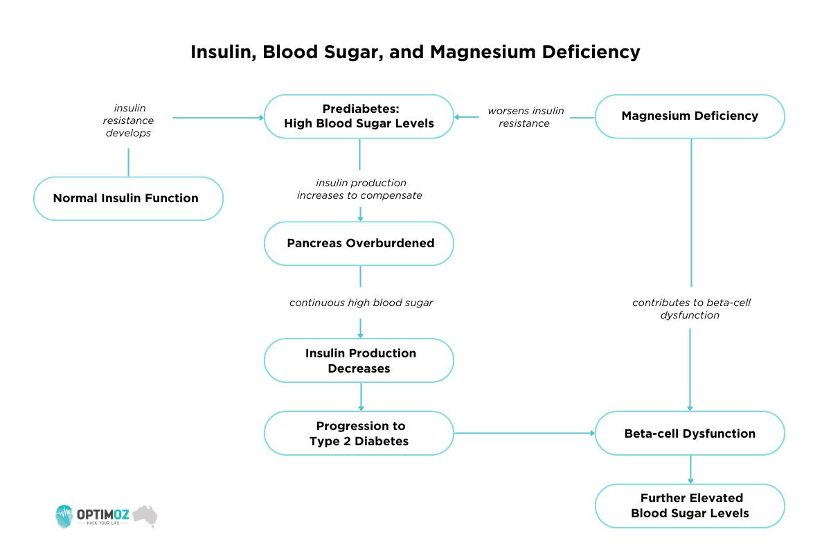 Magnesiun Deficiency May Accelerate Progression of Prediabetes to Diabetes