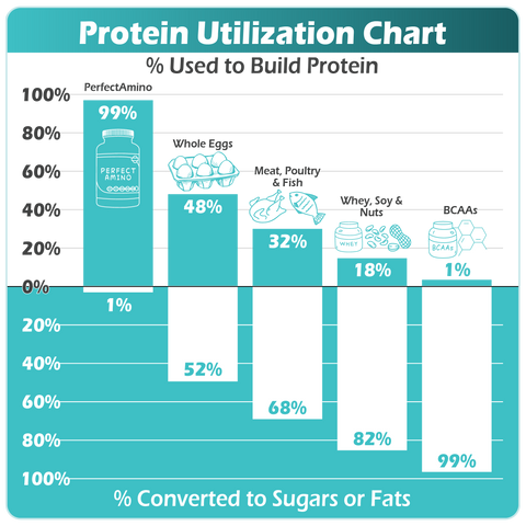 BodyHealth PerfectAmino EAAs Protein Utilisation Chart