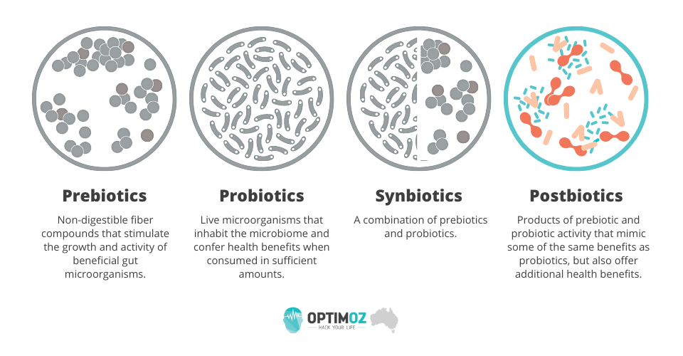 postbiotics vs prebiotics, probiotics and synbiotics