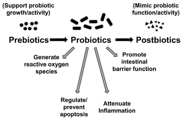 Pre-, pro- and postbiotics