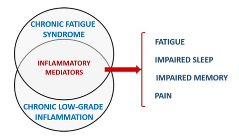 Chronic Fatigue Syndrome and Gut Inflammation