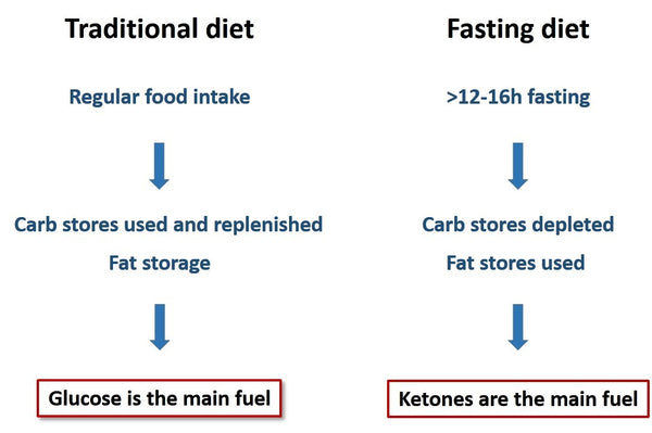 traditional vs intermittent fasting diet