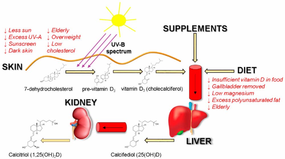 Vitamin D supplementation