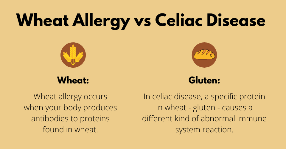 Wheat allergy vs celiac disease