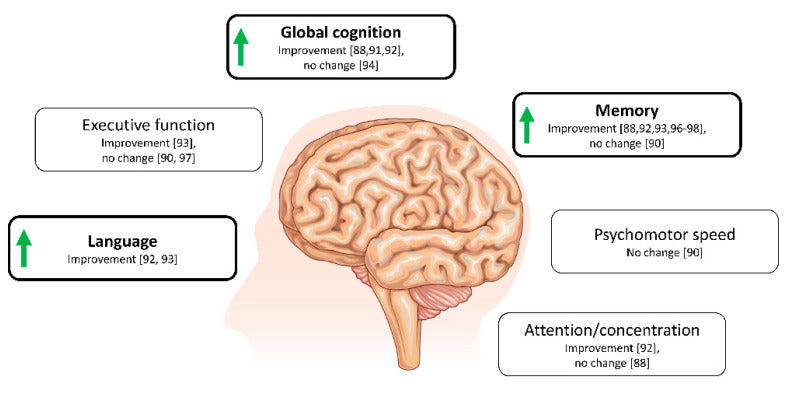 Cognitive domains affected by ketogenic intervention