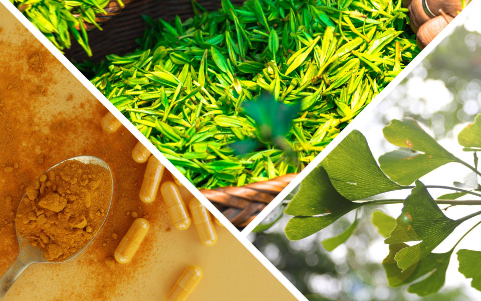 curcumin, ginkgo biloba, and green tea as caloric restriction mimetics