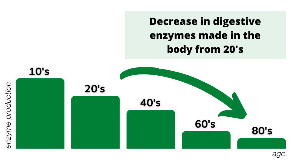 digestive enzyme production with age