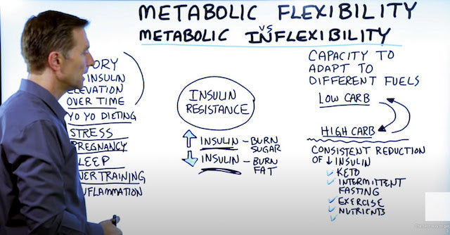 eric berg metabolic flexibility