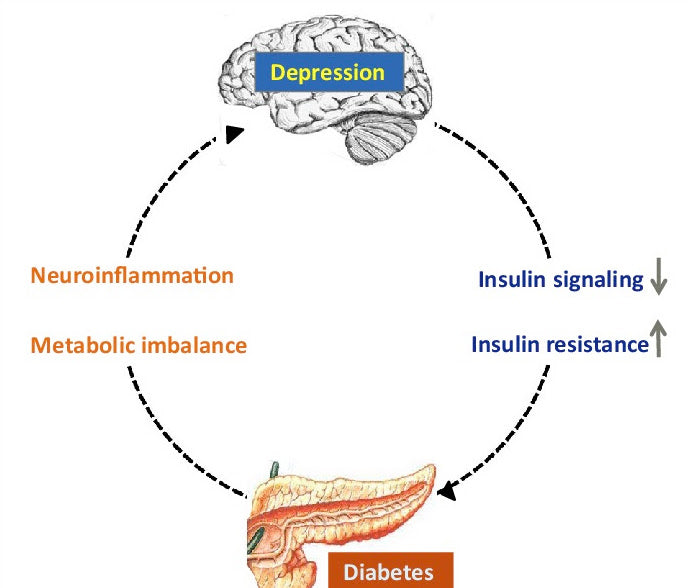 insulin resistance and depression